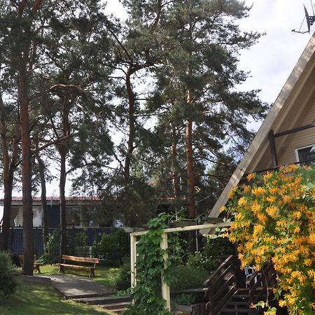 Vila Nendre Neringa Zewnętrze zdjęcie